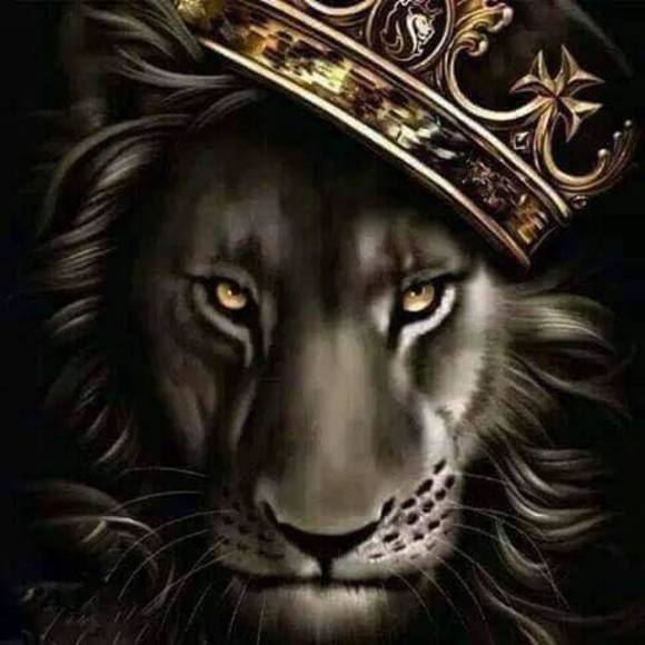 Meet your Posher, Harmon - Picture 1 of 1