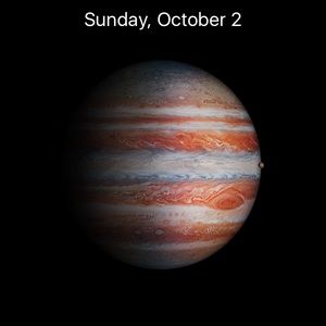 Meet your Posher, Cody