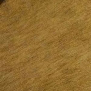 Meet your Posher, Timmy