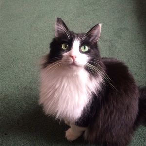 Meet your Posher, Jessy