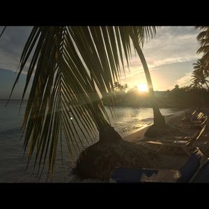 Meet your Posher, Janelle