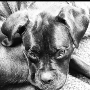 Meet your Posher, Mysho