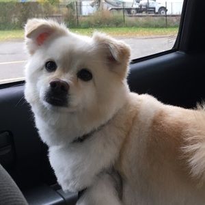 Meet your Posher, Kate