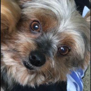 Meet your Posher, Cui