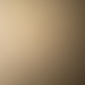 Meet your Posher, Bailey