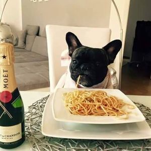 Meet your Posher, Sam