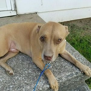 Meet your Posher, Cheryl