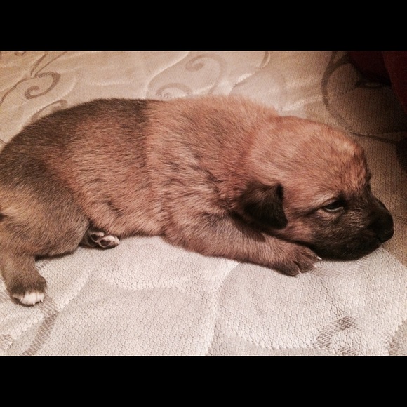 Meet your Posher, Adam - Picture 1 of 1