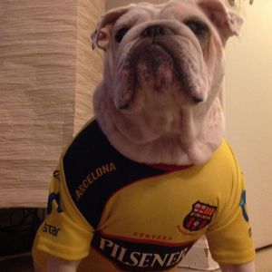 Meet your Posher, Diego