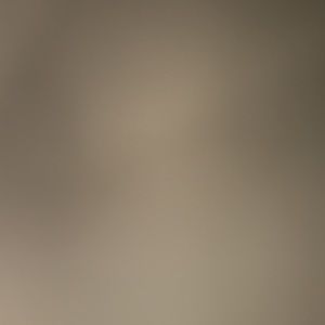 Meet your Posher, Kion