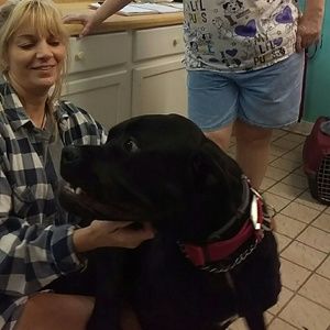 Meet your Posher, Michele