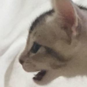 Meet your Posher, Juliette