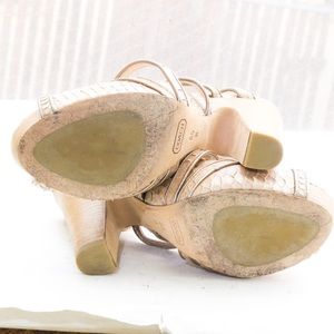 Coach Shoes - Coach 'Karolina' strappy platform sandal, snake ๐ Coach Shoes - Coach 'Karolina' strappy platform sandal, snake ๐