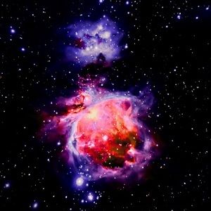 Meet your Posher, Sean