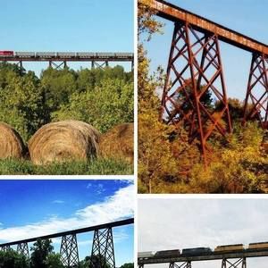 Meet your Posher, Cathy