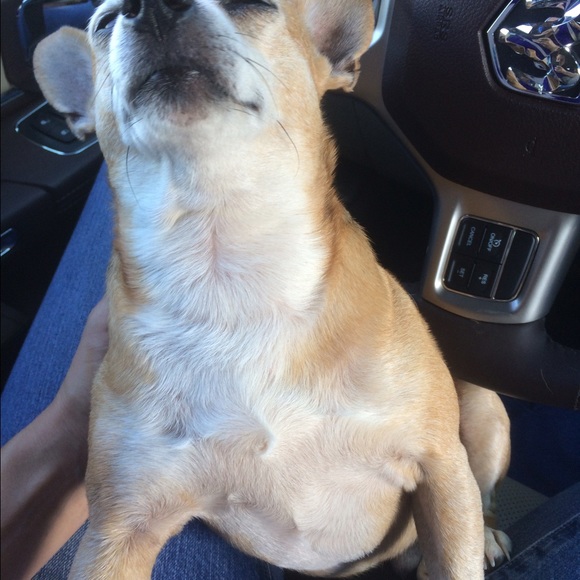 Meet your Posher, Ashley - Picture 1 of 1