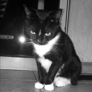 Meet your Posher, Olivia