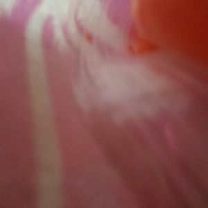 Meet your Posher, Lexi