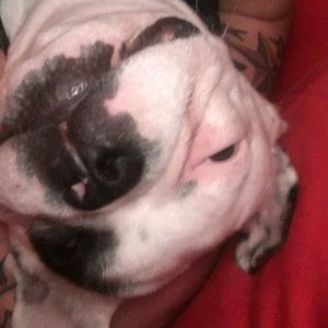 Meet your Posher, Brian