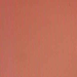 Meet your Posher, Jared