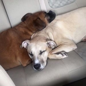 Meet your Posher, Alana