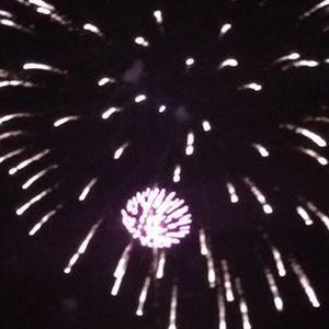 Meet your Posher, Damipi