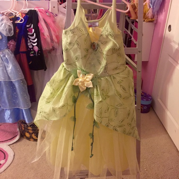Princess Ariana/Princess & the frog dress