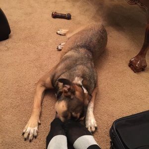 Meet your Posher, Eddie