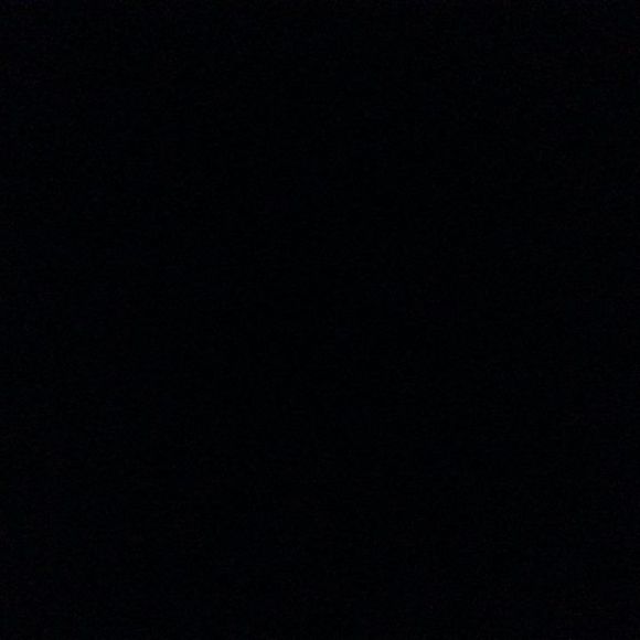 Meet your Posher, Joey