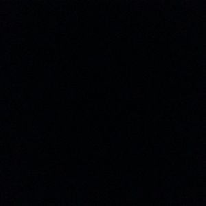 Meet your Posher, Joey