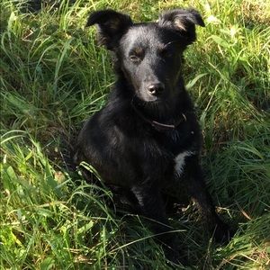 Meet your Posher, Jeannie