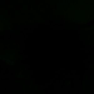 Meet your Posher, Norman