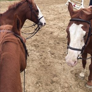 Meet your Posher, Sam