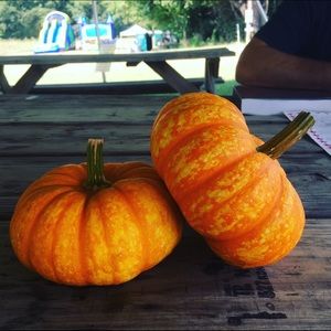 Meet your Posher, Sophia