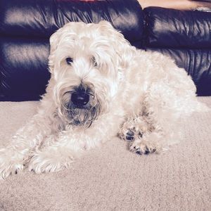 Meet your Posher, Jody