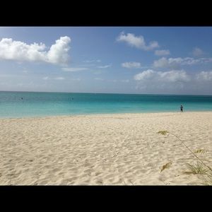 Meet your Posher, Reba