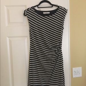 Ann Taylor Loft Fall dress