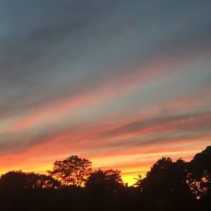 Meet your Posher, Lola