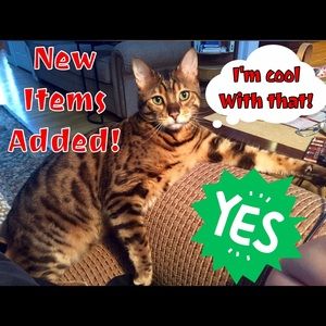🙀Get your shop on!🙀 NEW ITEMS ADDED!! 💚💚