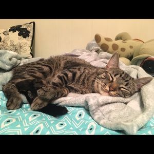 Meet your Posher, Kiva