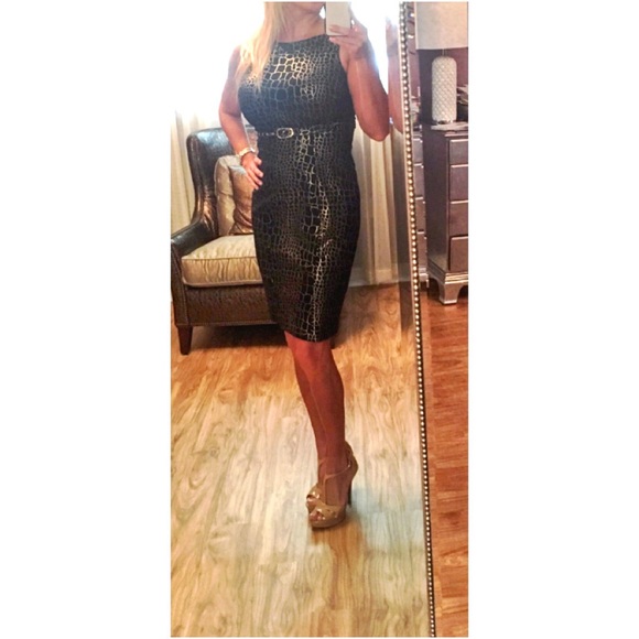 Black and gold cache dress size 4