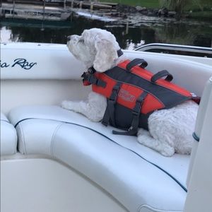 Meet your Posher, Laura