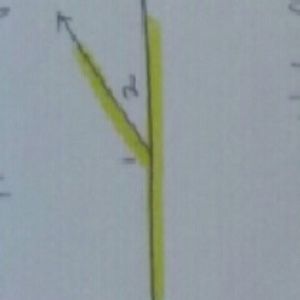 Meet your Posher, Javier