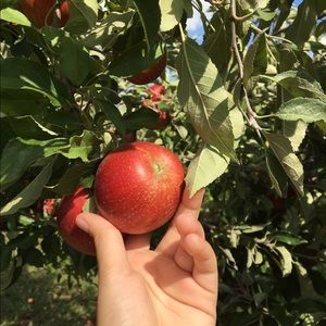 Meet your Posher, Lina