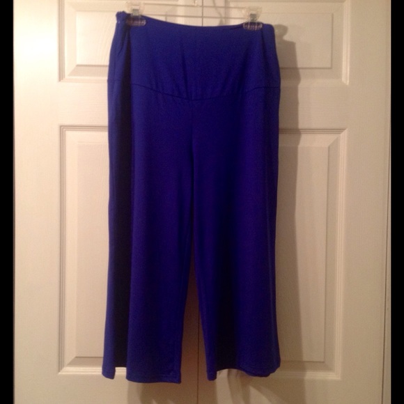 PALASSO PANTS, NWOT