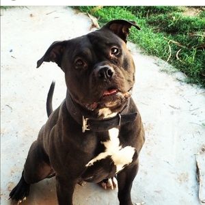 Meet your Posher, Mikel