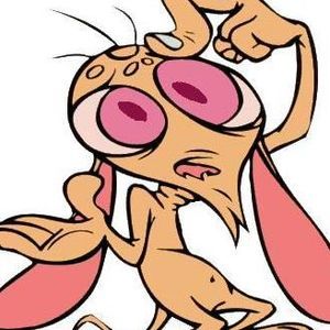 Meet your Posher, Lori lauer