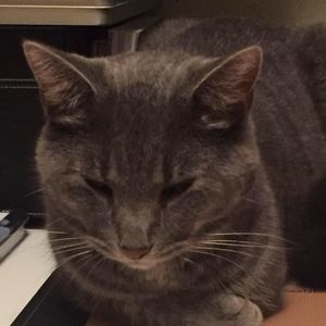 Meet your Posher, Diana