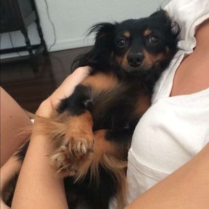 Meet your Posher, Jennifer