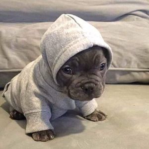 Meet your Posher, Bryant